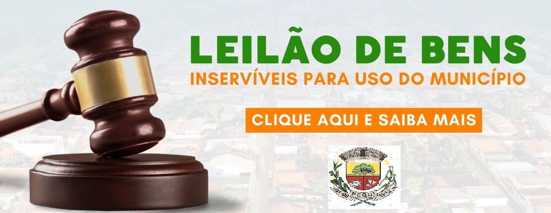 leilao-0012025